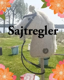 Sajtregler.