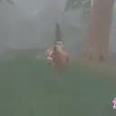 Rainflight L