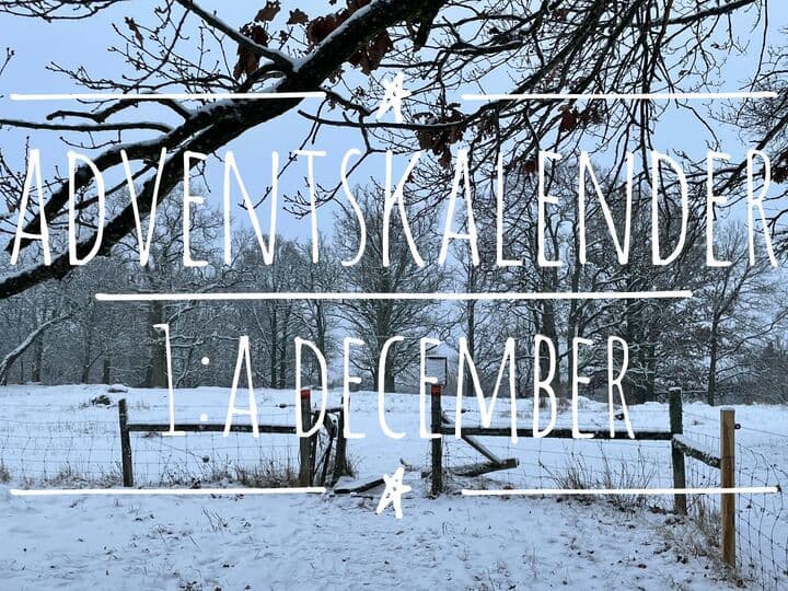 Adventskalender 2023