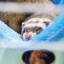 [i_love_iller_2]